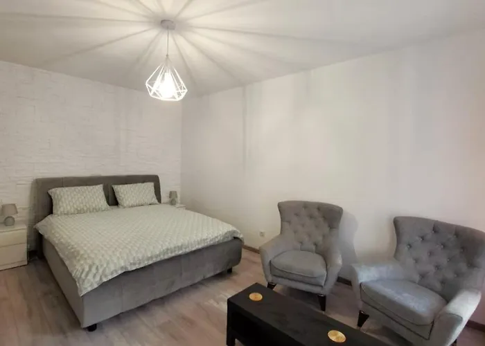 Apartment Cosy In The Heart Of Brasov