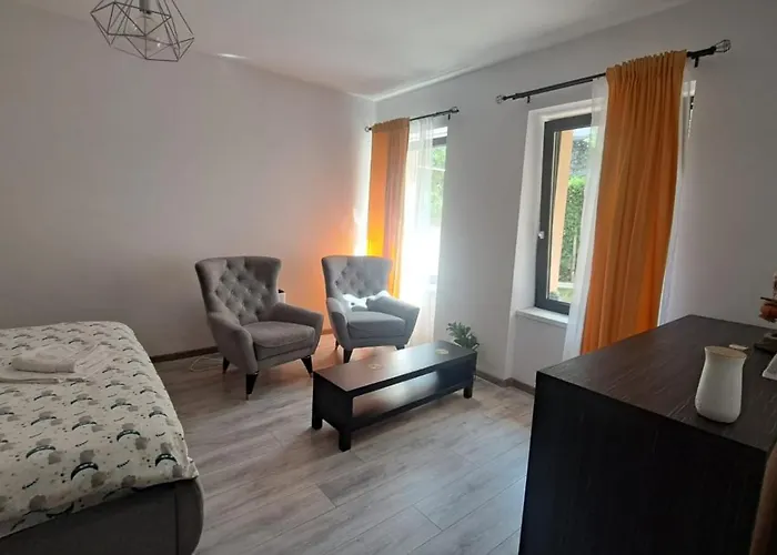 Cosy In The Heart Of Apartment Brasov